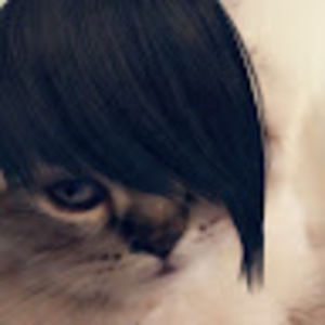 Meet your Posher, Wriley